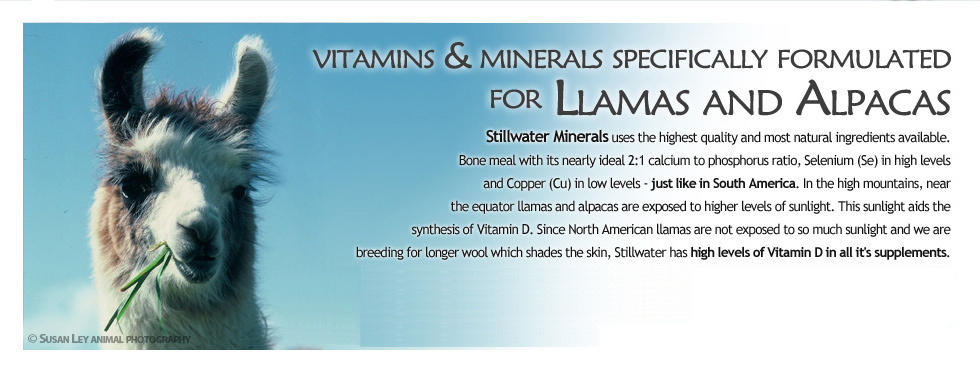 vitamins & minerals specifically formulated for Llamas and Alpacas